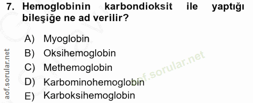 7. soru: Hemoglobinin karbondioksit ile yaptığı bileşige ne ad verilir? A) Myoglobin B) Oksihemoglobin C) Methemoglobin D) Kar…