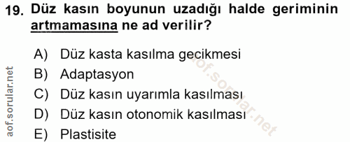 19. soru: Düz kasın boyunun uzadığı halde geriminin artmamasina ne ad verilir? A) Düz kasta kasılma gecikmesi B) Adaptasyon C)…