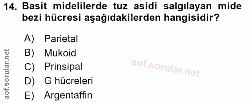 14. soru: Basit midelilerde tuz asidi salgılayan mide bezi hücresi aşağıdakilerden hangisidir? A) Parietal B) Mukoid C) Prinsip…