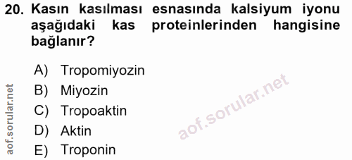 20. soru: Kasın kasılması esnasında kalsiyum iyonu aşağıdaki kas proteinlerinden hangisine bağlanır? A) Tropomiyozın B) Miyozin…