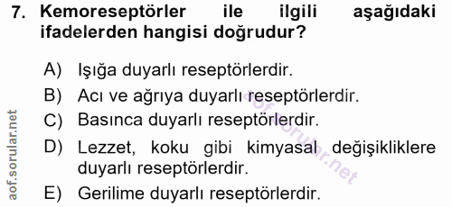 7. soru: Kemoreseptörler | ile ilgili aşağıdaki ifadelerden hangisi doğrudur? A) Işığa duyarlı reseptörlerdir. B) Acı ve ağrıy…