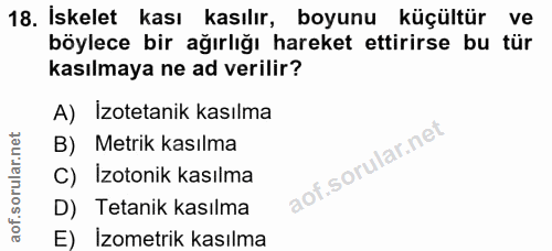 18. soru: İskelet kası kasılır, boyunu küçültür ve böylece bir ağırlığı hareket ettirirse bu tür kasılmaya ne ad verilir? A) İz…