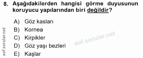 8. soru: Aşağıdakilerden hangisi görme duyusunun koruyucu yapılarından biri değildir? A) Göz kasları B) Kornea C) Kirpikler D)…
