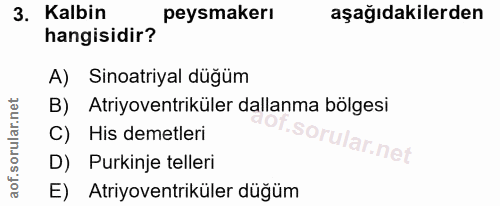 3. soru: Kalbin peysmakerı aşağıdakilerden hangisidir? A) Sinoatriyal düğüm B) Atriyoventriküler dallanma bölgesi C) His demet…
