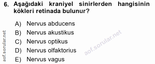6. soru: Aşağıdaki kraniyel sinirlerden hangisinin kökleri retinada bulunur? A) Nervus abducens B) Nervus akustikus C) Nervus…