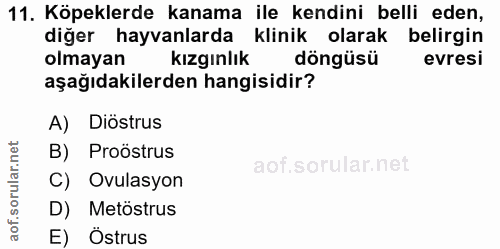 11. soru: Köpeklerde kanama ile kendini belli eden, diğer hayvanlarda klinik olarak belirgin olmayan kızginlık döngüsü evresi a…