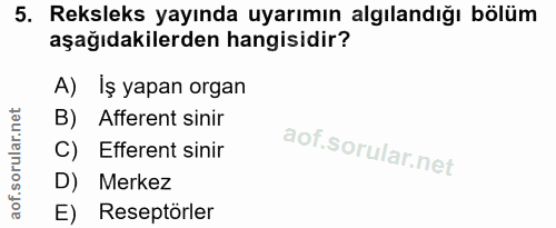 5. soru: Reksleks yayında uyarımın algılandığı bölüm aşağıdakilerden hangisidir? A) Iş yapan organ B) Afferent sinir C) Effere…