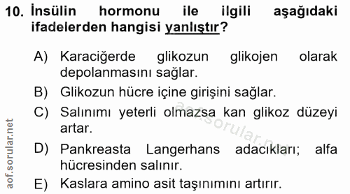 10. soru: Insülin hormonu ile ilgili aşağıdaki ifadelerden hangisi yanlıştır? A) Karaciğerde glikozun glikojen olarak depolanma…