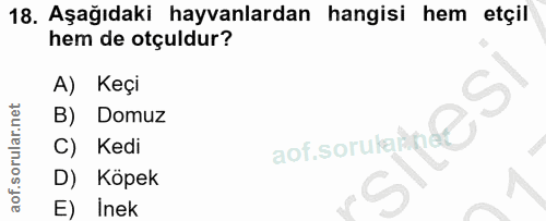 18. soru: Aşağıdaki hayvanlardan hangisi hem etçil hem de otçuldur? A) Keçi B) Domuz aof.sorulaitl Kedi D) Köpek E) Inek