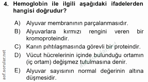 4. soru: Hemoglobin ile ilgili aşağıdaki ifadelerden hangisi doğrudur? A) Alyuvar membranının parçalanmasıdır. B) Alyuvarlara…