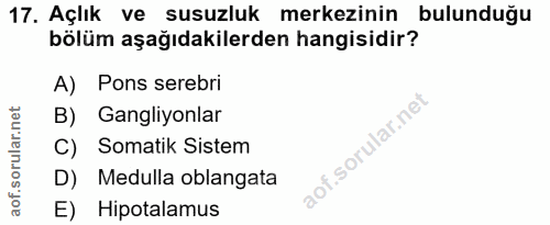 17. soru: Açlık ve susuzluk merkezinin bulunduğu bölüm aşağıdakilerden hangisidir? A) Pons serebri B) Gangliyonlar C) Somatik S…