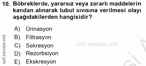 10. soru: Böbreklerde, yararsız veya zararlı maddelerin kandan alınarak tubul sıvısına verilmesi olayı aşağıdakilerden hangisid…