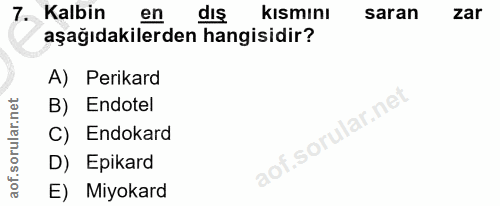 7. soru: Kalbin en dıs kısmını saran zar aşağıdakilerden hangisidir? A) Perikard B) Endotel C) Endokard D) Epikard E) Miyokard