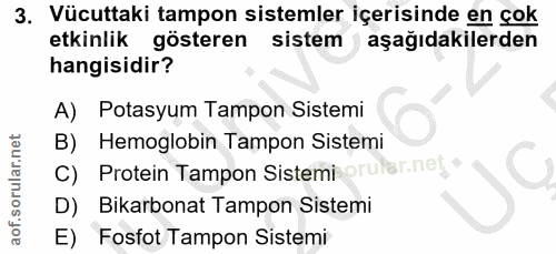 3. soru: Vücuttaki tampon sistemler içerisinde en çok etkinlik gösteren sistem aşağıdakilerden hangisidir? A) Potasyum Tampon…