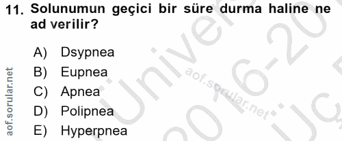 11. soru: Solunumun geçici bir süre durma haline ne ad verilir? A) Dsypnea B) Eupnea C) Apnea ularner" D) Polipnea C E) Hyperpnea
