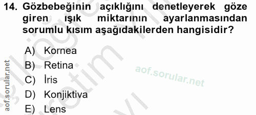 14. soru: Gözbebeğinin açıklığını denetleyerek göze giren ışık miktarının ayarlanmasından sorumlu kısım aşağıdakilerden hangisi…