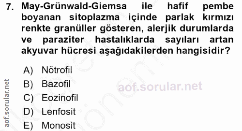 7. soru: May-Grünwald-Giemsa ile hafif pembe boyanan sitoplazma içinde parlak kırmızı renkte granüller gösteren, alerjik durum…