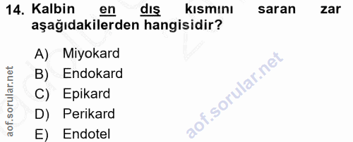 14. soru: Kalbin en dış kısmını saran zar aşağıdakilerden hangisidir? A) Miyokard B) Endokard C) Epikard D) Perikard E) Endotel