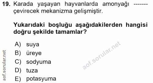 19. soru: Karada yaşayan hayvanlarda amonyağı çevirecek mekanizma gelişmiştir. Yukarıdaki boşluğu aşağıdakilerden hangisi doğru…