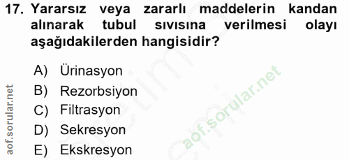 17. soru: Yararsız veya zararlı maddelerin kandan alınarak tubul sivisina verilmesi olayı aşağıdakilerden hangisidir? A) Urinas…