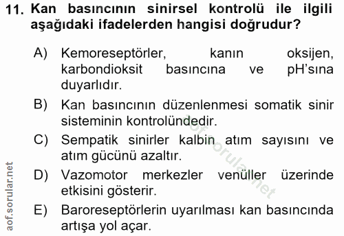 11. soru: Kan basıncının sinirsel kontrolü ile ilgili aşağıdaki ifadelerden hangisi doğrudur? A) Kemoreseptörler, kanın oksijen…