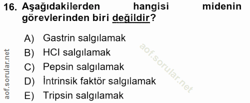 16. soru: Aşağıdakilerden hangisi midenin görevlerinden biri değildir? A) Gastrin salgılamak B) HCI salgılamak C) Pepsin salgıl…