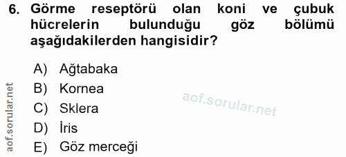 6. soru: Görme reseptörü olan koni ve çubuk hücrelerin bulundugu göz bölümü aşağıdakilerden hangisidir? A) Ağtabaka B) Kornea…
