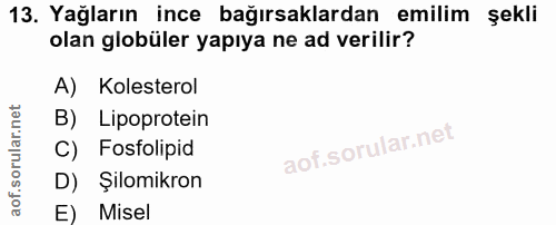 13. soru: Yağların ince bağırsaklardan emilim şekli olan globüler yapıya ne ad verilir? A) Kolesterol B) Lipoprotein C) Fosfoli…