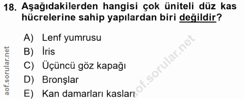 18. soru: Aşağıdakilerden hangisi çok üniteli düz kas hücrelerine sahip yapılardan biri değildir? A) Lenf yumrusu B) Iris llar.…
