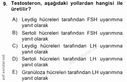 9. soru: Testosteron, aşağıdaki yollardan hangisi ile üretilir? A) Leydig hücreleri tarafından FSH uyarımına yanıt olarak B) S…