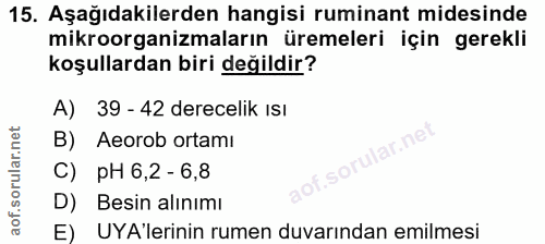 15. soru: Aşağıdakilerden hangisi ruminant midesinde mikroorganizmaların üremeleri için gerekli koşullardan biri değildir? A) 3…