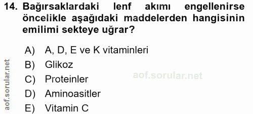 14. soru: Bağırsaklardaki lenf akımı engellenirse öncelikle aşağıdaki maddelerden hangisinin emilimi sekteye uğrar? A) A, D, E…