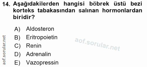14. soru: Aşağıdakilerden hangisi böbrek üstü bezi korteks tabakasından salınan hormonlardan biridir? A) Aldosteron B) Eritropo…