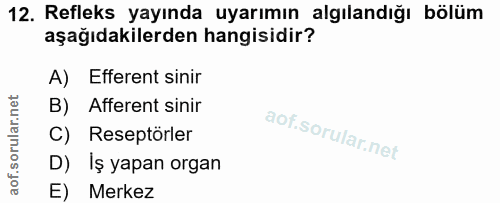 12. soru: Refleks yayında uyarımın algılandığı bölüm aşağıdakilerden hangisidir? A) Efferent sinir B) Afferent sinir C) Reseptö…