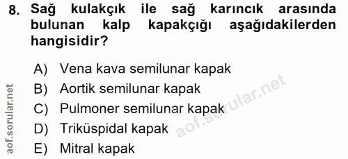 8. soru: Sağ kulakçık ile sağ karıncık arasında bulunan kalp kapakçığı aşağıdakilerden hangisidir? A) Vena kava semilunar kapa…