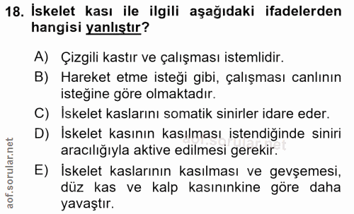 18. soru: İskelet kası ile ilgili aşağıdaki ifadelerden hangisi yanlıştır? A) Çizgili kastır ve çalışması istemlidir. B) Hareke…