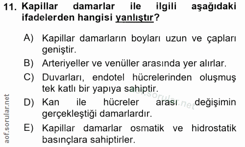 11. soru: Kapillar damarlar ile ilgili aşağıdaki ifadelerden hangisi yanlıştır? A) Kapillar damarların boyları uzun ve çapları…