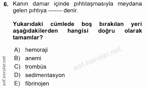 6. soru: Kanın damar içinde pıhtılaşmasıyla meydana gelen pıhtıya -- -- denir. Yukarıdaki cümlede boş bırakılan yeri aşağıdaki…
