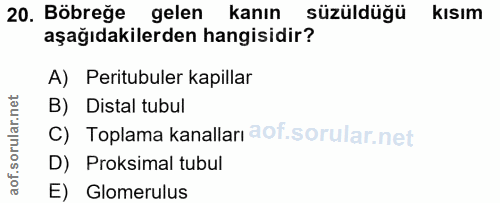 20. soru: Böbreğe gelen kanın süzüldüğü kısım aşağıdakilerden hangisidir? A) Peritubuler kapillar B) Distal tubul C) Toplama ka…