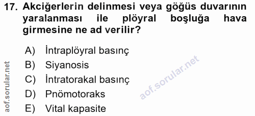 17. soru: Akciğerlerin delinmesi veya göğüs duvarının yaralanması ile plöyral boşluğa hava girmesine ne ad verilir? A) Intraplö…
