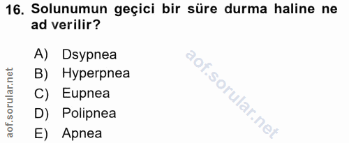 16. soru: Solunumun geçici bir süre durma haline ne ad verilir? A) Dsypnea B) Hyperpnea C) Eupnea D) Polipnea E) Apnea