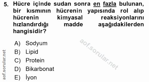 5. soru: Hücre içinde sudan sonra en fazla bulunan, bir kısmının , hücrenin yapısında rol alıp hücrenin kimyasal reaksiyonları…