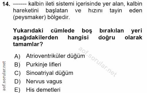 14. soru: -- kalbin ileti sistemi içerisinde yer alan, kalbin hareketini başlatan ve hızını tayin eden (peysmaker) bölgedir. Yu…