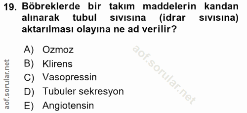 19. soru: Böbreklerde bir takım maddelerin kandan alınarak tubul sıvısına (idrar sivisina) aktarılması olayına ne ad verilir? A…