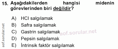 15. soru: Aşağıdakilerden hangisi midenin görevlerinden biri değildir? A) HCI salgılamak B) Safra salgılamak C) Gastrin salgıla…