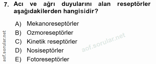 7. soru: Acı ve ağrı duyularını alan reseptörler aşağıdakilerden hangisidir? A) Mekanoreseptörler B) Ozmoreseptörler C) Kineti…