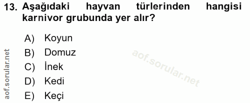 13. soru: Aşağıdaki hayvan türlerinden hangisi karnivor grubunda yer alır? A) Koyun B) Domuz C) Inek D) Kedi E) Keçi
