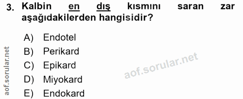 3. soru: Kalbin en dış kısmını saran zar aşağıdakilerden hangisidir? A) Endotel B) Perikard C) Epikard D) Miyokard E) Endokard