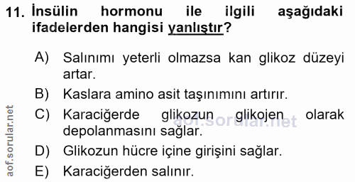 11. soru: Insülin hormonu ile ilgili aşağıdaki ifadelerden hangisi yanlıştır? A) Salınımı yeterli olmazsa kan glikoz düzeyi art…