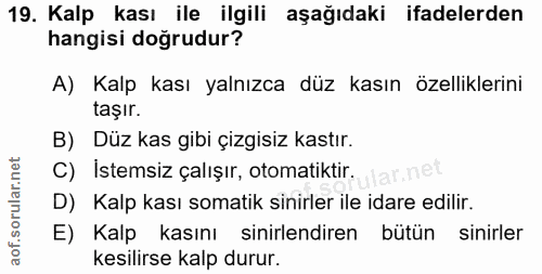 19. soru: Kalp kası ile ilgili aşağıdaki ifadelerden hangisi doğrudur? A) Kalp kası yalnızca düz kasın özelliklerini taşır. B)…